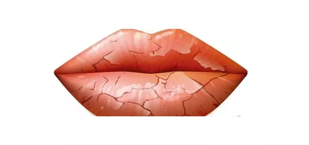 g002.png